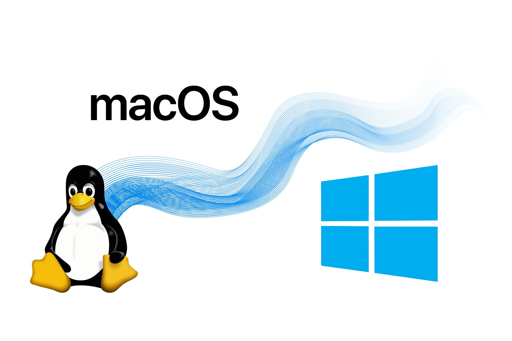 Flexible and Customizable System